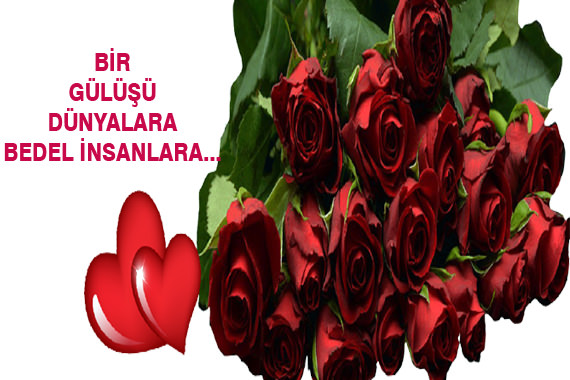 Mutlu Anlara