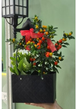 Dekoratif Çantada Kalançuha ve Solanum Pseudocapsicum