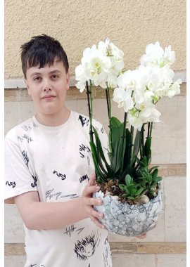 Dekortatif Vazoda 6 Dal Midi Beyaz Orkide