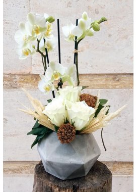Taş Vazoda Midi Orkide ve Beyaz Güller
