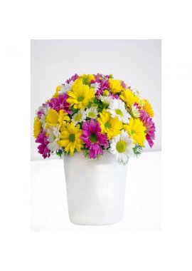 Seramik Vazoda Renkli Kır Çiçekleri