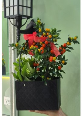 Dekoratif Çantada Kalançuha ve Solanum Pseudocapsicum