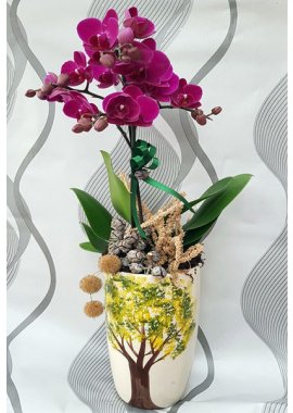Ağaç Tasarımlı Seramik Vazoda Tek Dal Mor Orkide