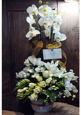Gold Kareli Seramikte Beyaz Orkide ve Lilyum-Gül  Arajman