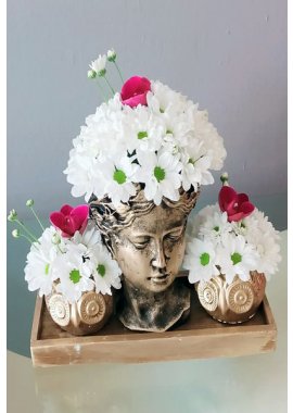 Dekoratif Helen Bibloda Beyaz Papatyalar ve Orkide