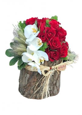 Dekoratif kütükte kırmızı güller ve Orkide