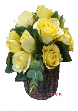Dekoratif kütük vazoda sarı güller