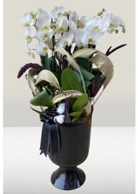 Ayaklı Küp Vazoda 10 Dal Beyaz Orkide