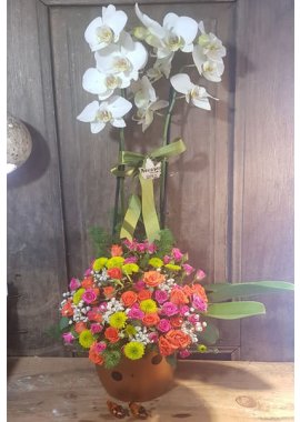 Puantiyeli Seramikte Beyaz Orkide ve Renkli Çardak Gülleri