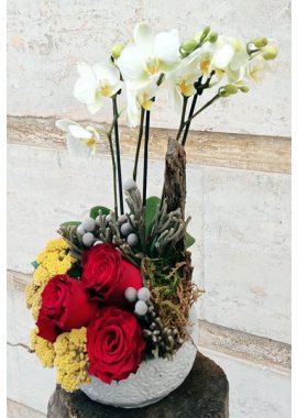 İşlemeli Taş Vazoda Midi Beyaz Orkide ve Kırmızı Güller